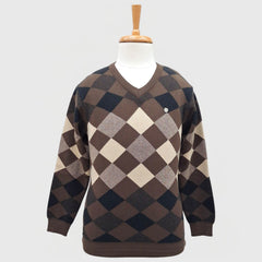 MEN'S V NECK SWEATER