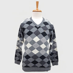 MEN'S V NECK SWEATER