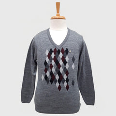 MEN'S V NECK SWEATER