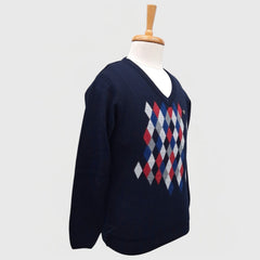 MEN'S V NECK SWEATER