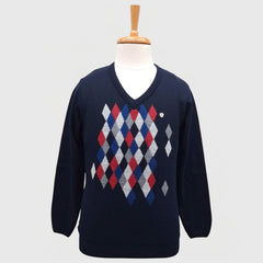 MEN'S V NECK SWEATER