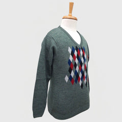 MEN'S V NECK SWEATER