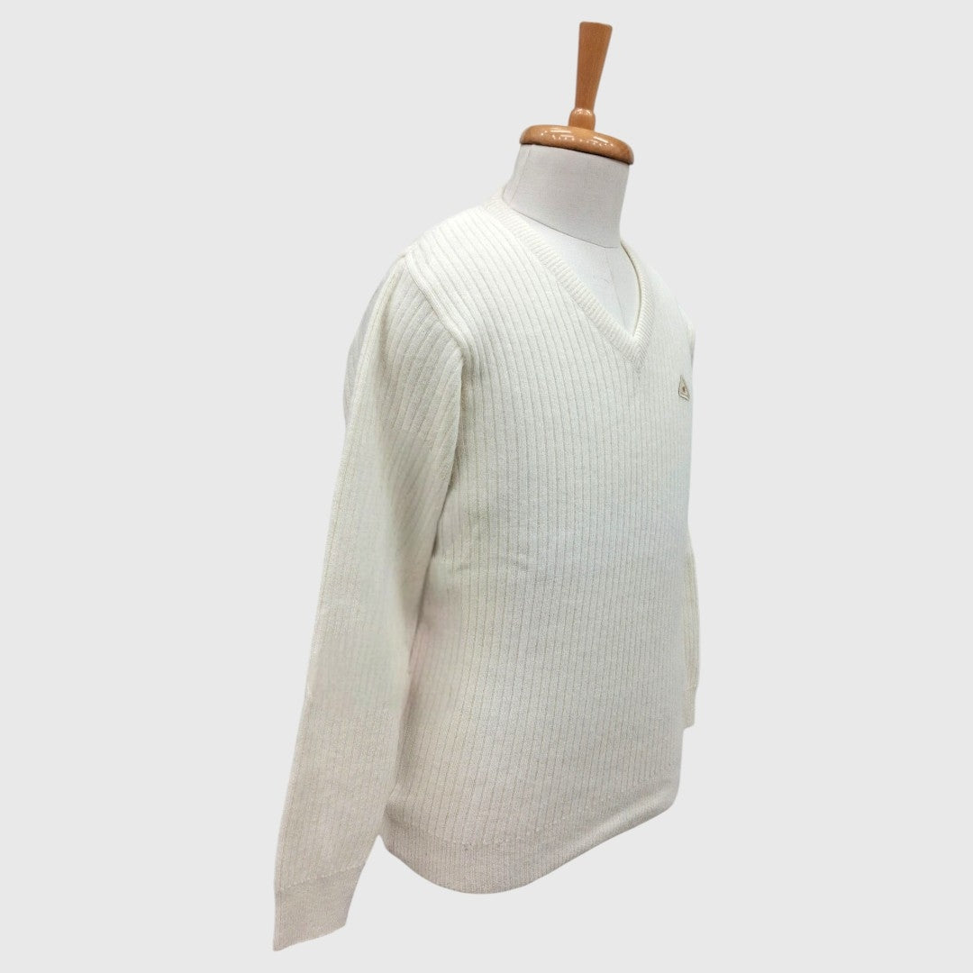 MEN'S PURE WOOL V NECK SWEATER