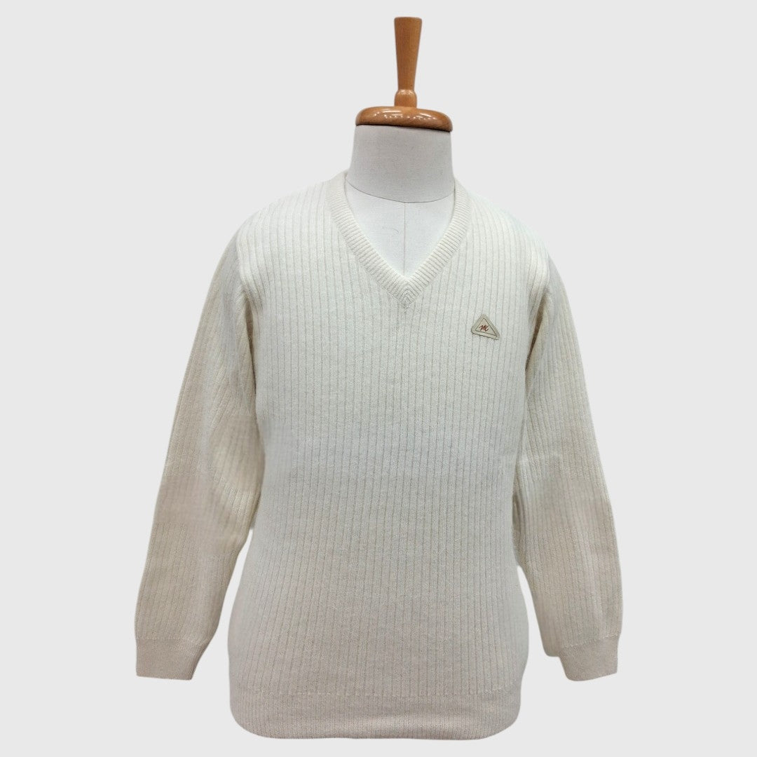 MEN'S PURE WOOL V NECK SWEATER