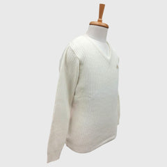 MEN'S PURE WOOL V NECK SWEATER