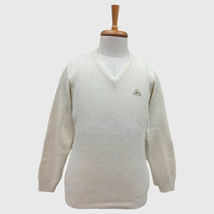 MEN'S PURE WOOL V NECK SWEATER