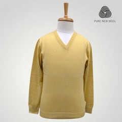 MEN'S V NECK SWEATER ITALIAN MERINO WOOL