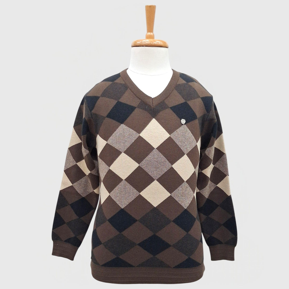 MEN'S ACRO WOOL FULL SLEEVES V NECK SWEATER