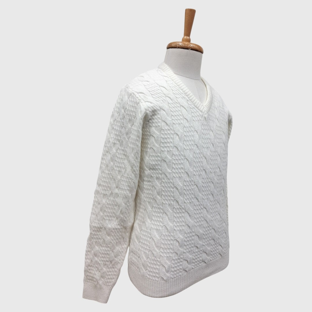 MEN'S V NECK SWEATER