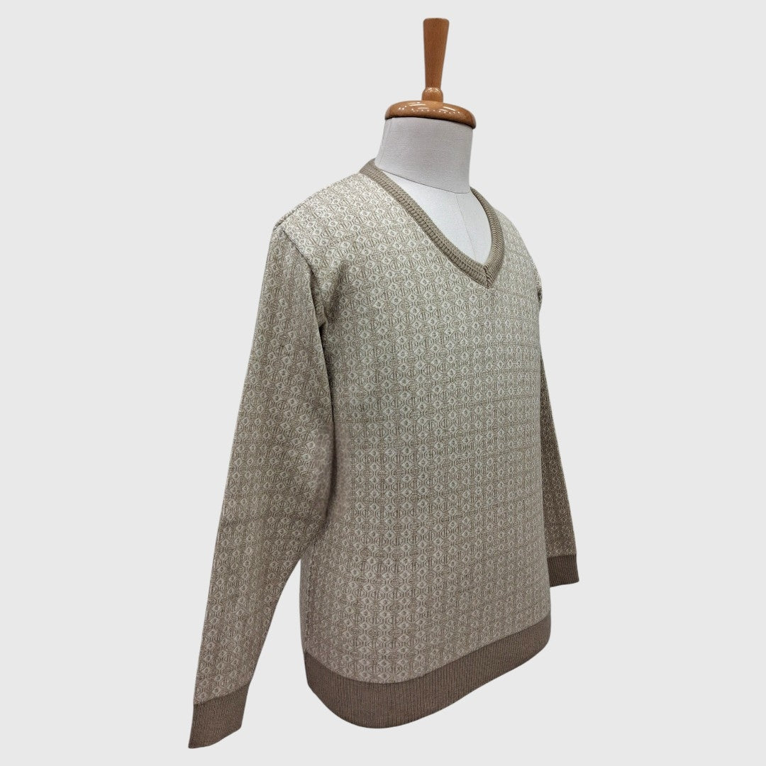 MEN'S ACRO WOOL FULL SLEEVES V NECK SWEATER