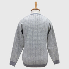 MEN'S ACRO WOOL FULL SLEEVES V NECK SWEATER
