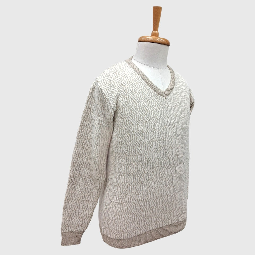 MEN'S V NECK SWEATER