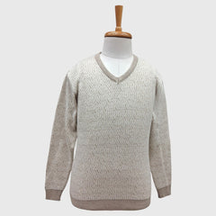 MEN'S V NECK SWEATER