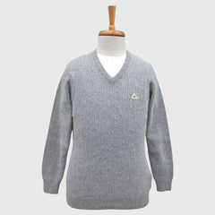 MEN'S PURE WOOL V NECK SWEATER