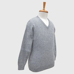 MEN'S PURE WOOL V NECK SWEATER