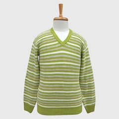 MEN'S V NECK SWEATER