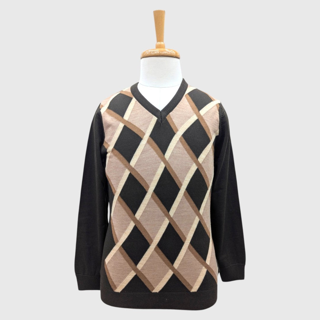 MEN'S V NECK SWEATER