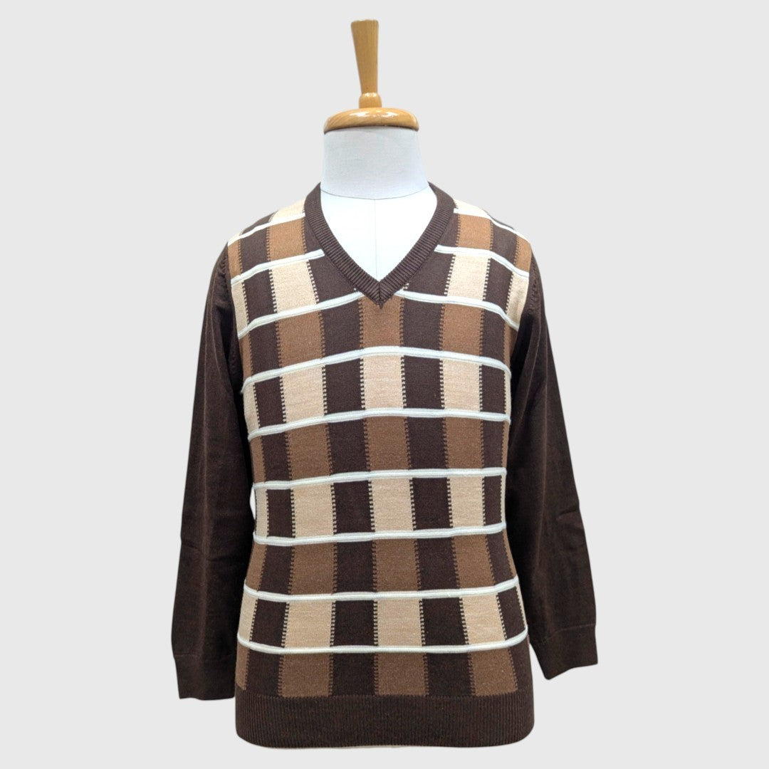 MEN'S V NECK SWEATER