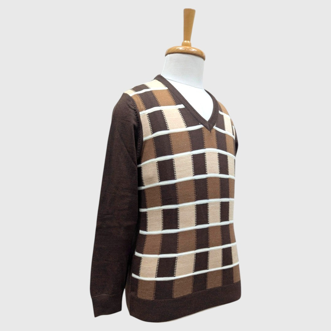 MEN'S V NECK SWEATER